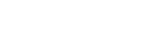 Dr. Tareq Salahuddin